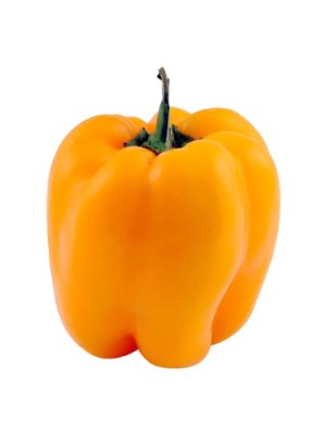 Pimiento amarillo 1 un
