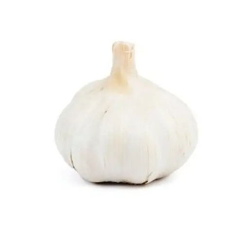 Ajo malla