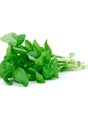 Albahaca