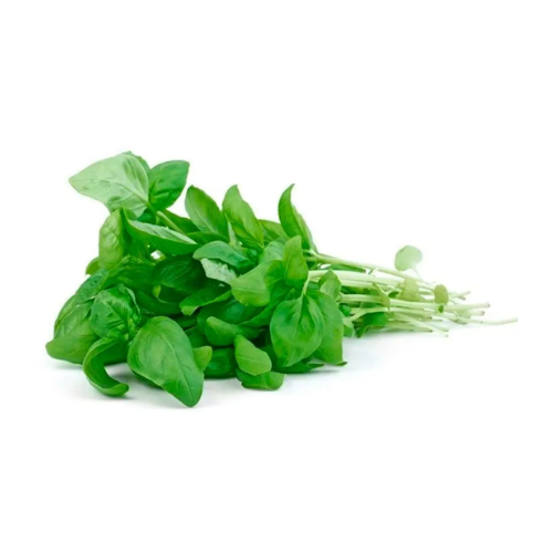 Albahaca