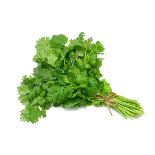 Cilantro