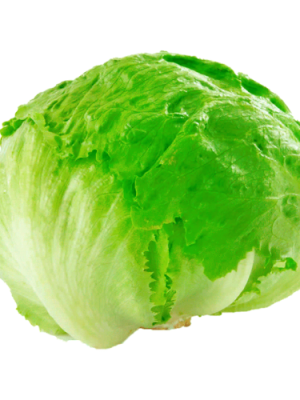 Lechuga escarola